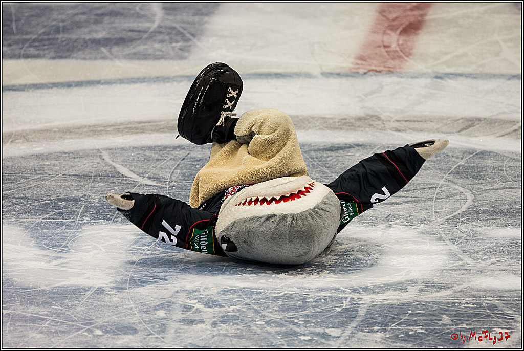 Koelner Haie - Iserlohn Roosters, 09.10.2016